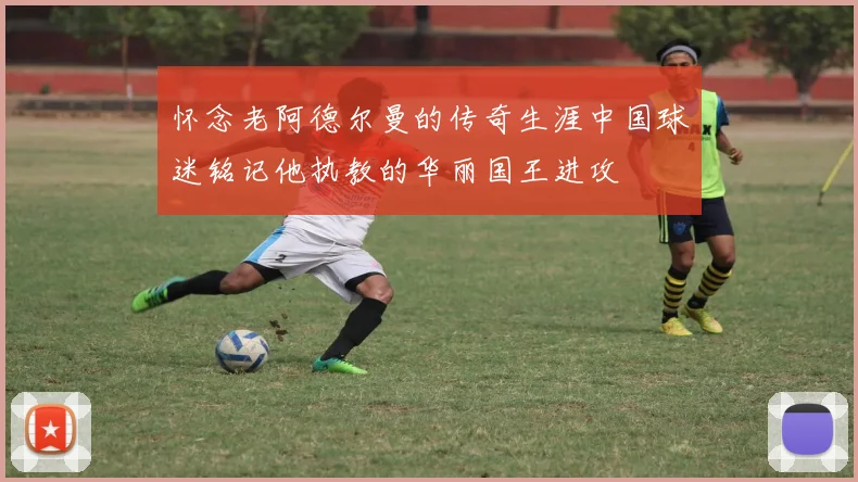 怀念老阿德尔曼的传奇生涯中国球迷铭记他执教的华丽国王进攻
