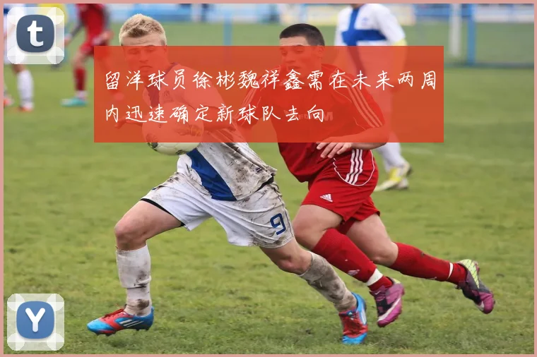 留洋球员徐彬魏祥鑫需在未来两周内迅速确定新球队去向